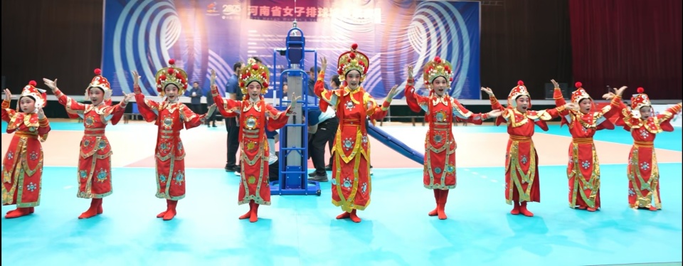 tNVsA, 最爱河南女